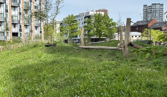 Stad Leuven creëert nieuw stukje natuur om te spelen aan Sint-Maartensdal