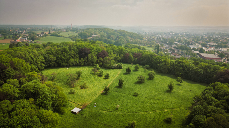 Park de Bunswyck Park de Bunswyck