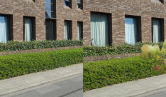 Miniatuur