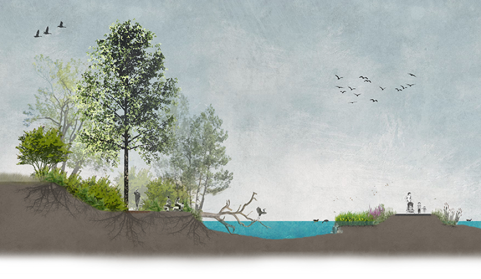 Voorbeeld van een droge en bossige oever met vooroever Voorbeeld van een droge en bossige oever met vooroever