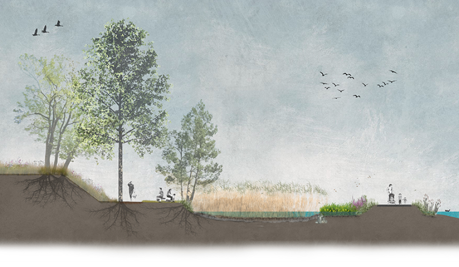 Voorbeeld van een droge en open oever met vooroever Voorbeeld van een droge en open oever met vooroever