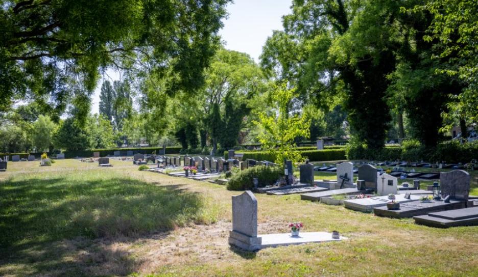 Begraafplaats Wijgmaal nieuw